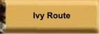 Go to Ivy Route page.